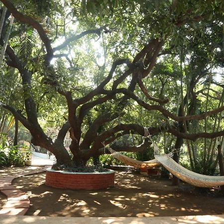 Hotel Outpost@Alibaug Alībāg Exteriér fotografie