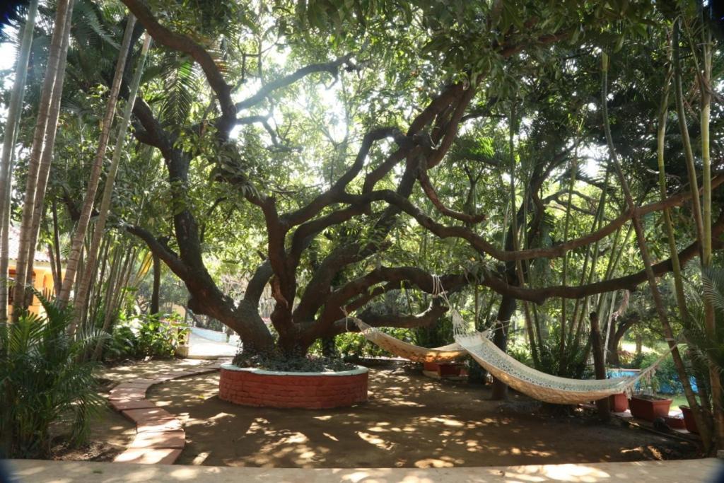 Hotel Outpost@Alibaug Alībāg Exteriér fotografie